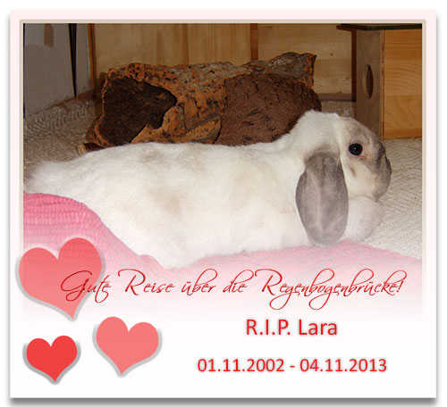 Lara-RIP