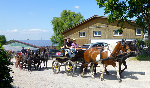 Ausstellung Katja Sauer