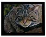 Scottish Wildcat in soft pastels by Katja Sauer