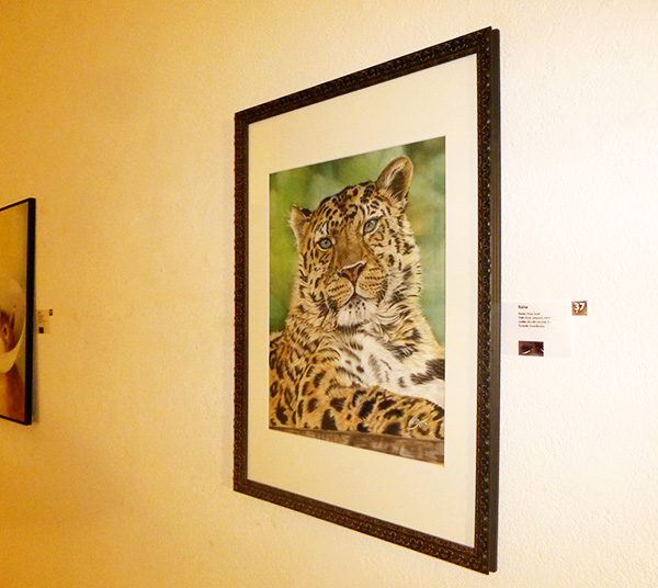 Ausstellung im Alten Dampfbad in Baden-Baden - Amur Leopard "Akin" in Pastellkreide von Katja Sauer