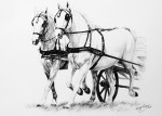 Horses and cart - horse drawings in charcoal by Katja Sauer