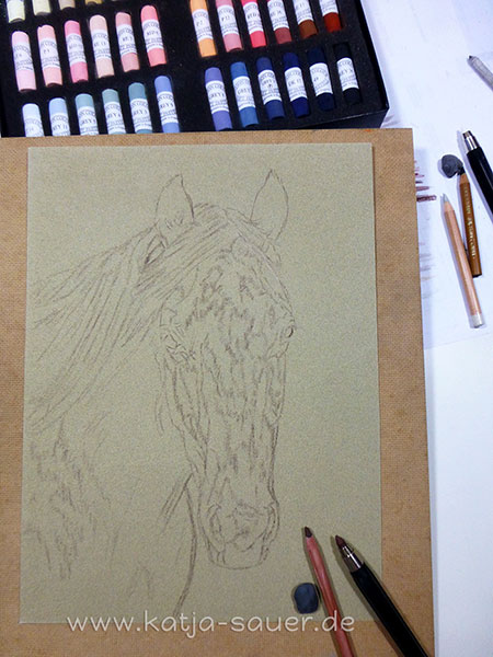 Sketch of a horse portrait in soft pastels by Katja Sauer