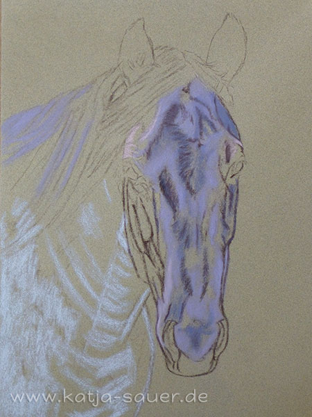 Undercoat of a horse portrait in soft pastels by Katja Sauer