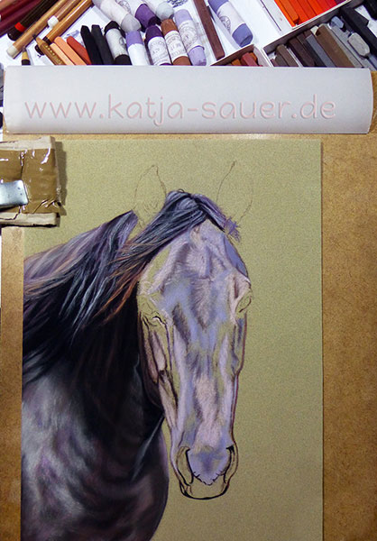 Work out of the details of the horse portrait in soft pastels by Katja Sauer