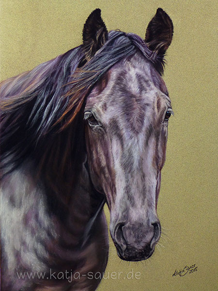 Quarter horse mare "Magic Spirit of Hope" in pastels by Katja Sauer