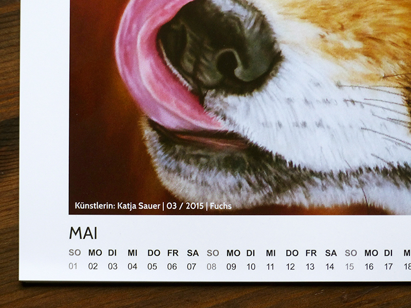 Pastellkreidezeichnung "Fuchs" von Katja Sauer im Artina Art Kalender 2016
