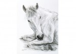 Horse portraits in charcoal by Katja Sauer