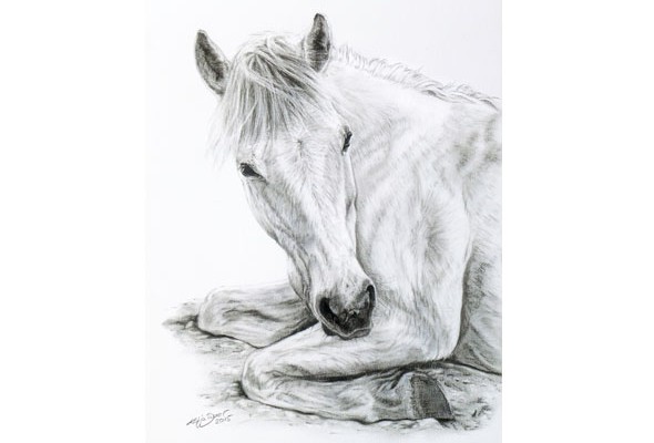 Horse portraits in charcoal by Katja Sauer