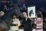 Gazal Al Shaqab at All Nations Cup 2017 in Aachen and Awarding of the painting in soft pastels by Katja Sauer