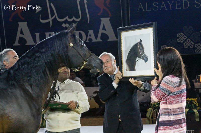 GAZAL AL SHAQAB in Pastellkreide - Award Verleihung beim All Nations Cup ANC 2017 in Aachen