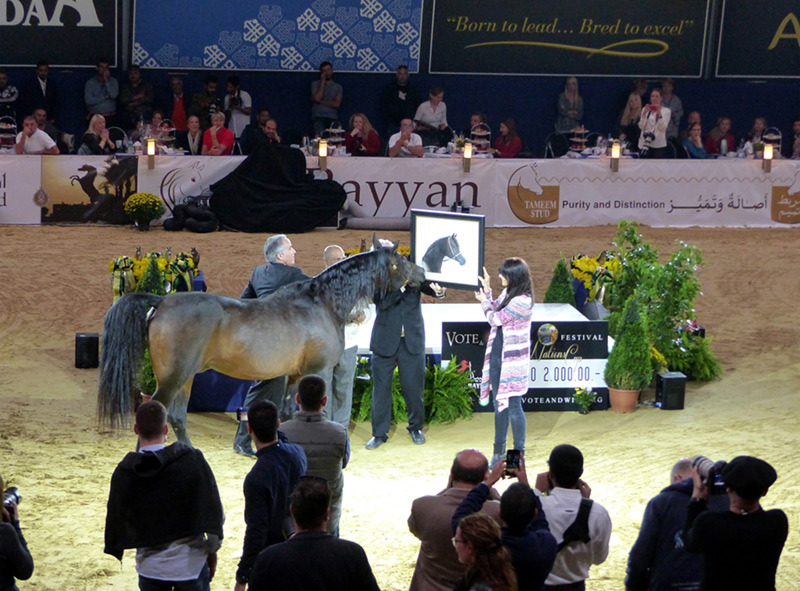 GAZAL AL SHAQAB in Pastellkreide - Award Verleihung beim All Nations Cup ANC 2017 in Aachen