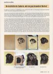 Tierzeichnungen und Tierportraits - Artikel über Pastellzeichnung Neufundländer von Katja Sauer