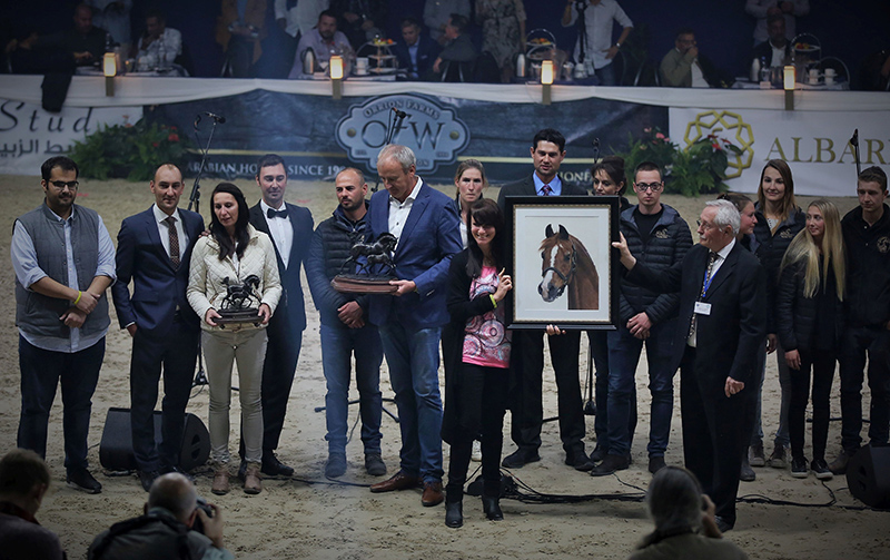 Araberhengst PADRONS PSYCHE in Pastellkreide von Katja Sauer - "Lifetime Achievement Award" beim ANC 2018 in Aachen (Foto: Susanne Ismer)