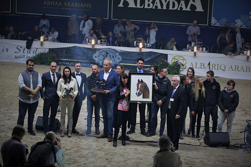 PADRONS PSYCHE in Pastellkreide - Award Verleihung beim All Nations Cup ANC 2018 in Aachen (Foto: Susanne Ismer)