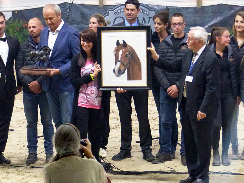 PADRONS PSYCHE in Pastellkreide - Award Verleihung beim All Nations Cup ANC 2018 in Aachen (Foto: Franziska Schustetter)