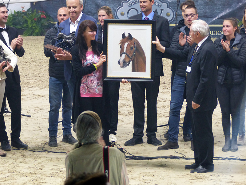 Araberhengst PADRONS PSYCHE in Pastellkreide von Katja Sauer - "Lifetime Achievement Award" beim ANC 2016 in Aachen (Foto: Franziska Schustetter)