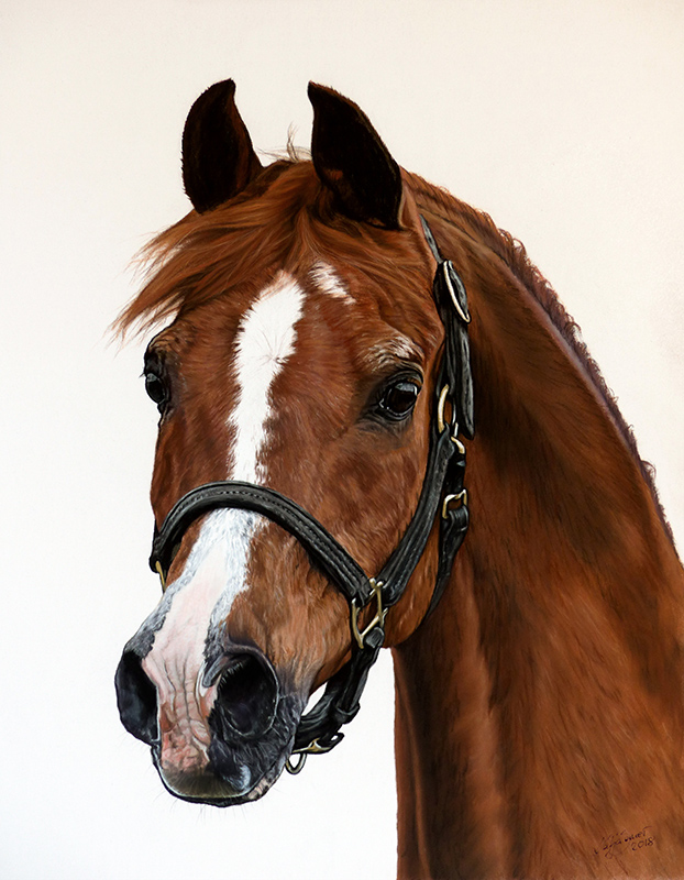 PADRONS PSYCHE in Pastellkreide von Katja Sauer für den Lifetime Achievement Award - All Nations Cup ANC 2018 in Aachen (Ref. Fotovorlage für die Zeichnung: Stuart Vesty)