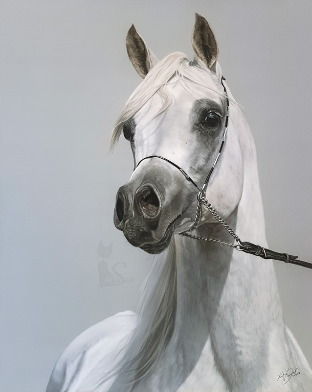 Al Lahab in pastels (40 cm x 50 cm) - All Nations Cup 2019 in Aachen