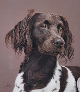 Münsterländer EVI in Pastellkreide gezeichnet (30 cm x 40 cm)