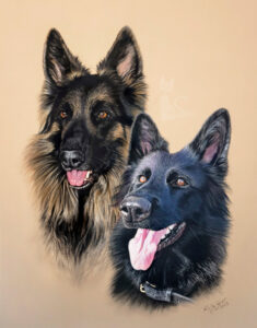 Schäferhunde IRON und EASY - Collage in Pastellkreide gezeichnet (30 cm x 40 cm)