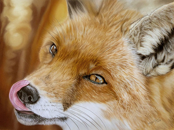 Tierportraits und Tierzeichnungen von Katja Sauer - Fuchs in Pastellkreide (30 cm x 40 cm)