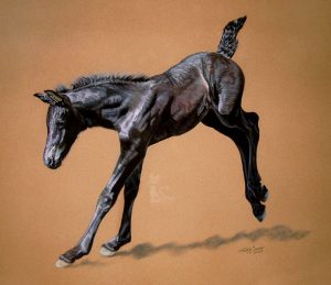 Friesenfohlen JIMKJE VOM SEENLAND in Pastell gezeichnet (50 cm x 65 cm)