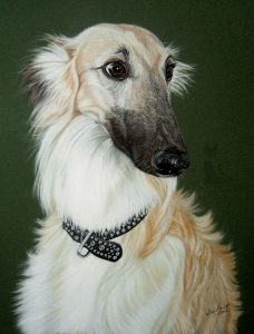 Hundezeichnung als Auftragsarbeit in Pastellkreide