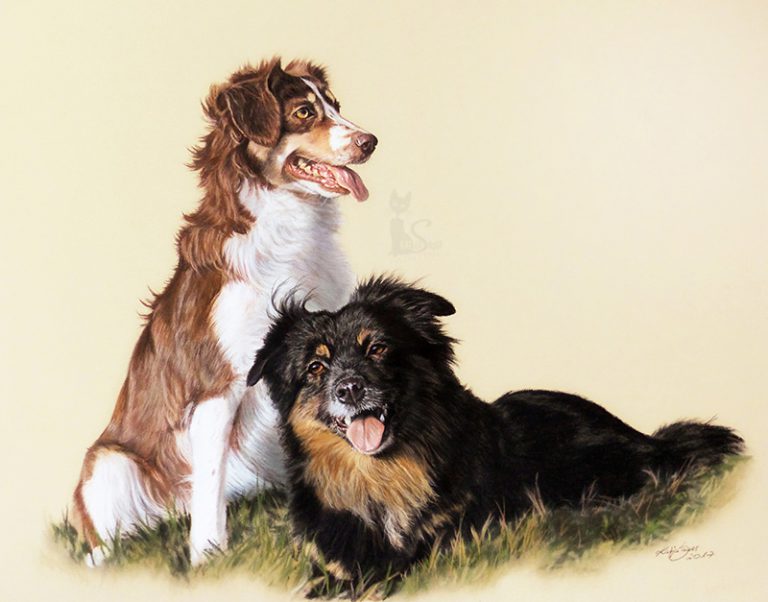 Hundezeichnung als Auftragsarbeit in Pastellkreide