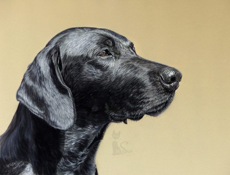 Pastellzeichnung Hund von Katja Sauer