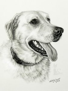 Labrador BIENE in Kohle und Graphit gemalt (15 cm x 21 cm)