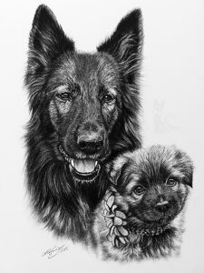 Schäferhunde KAYA und KIVA - Collage in Kohle und Graphit gezeichnet (21 cm x 30 cm)