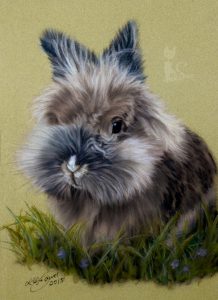Kaninchen SCHNUCKI (24 cm x 32 cm) Tierzeichnungen in Pastell gemalt nach Fotovorlage