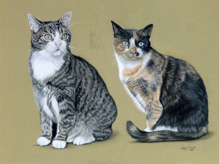 Pastellportrait Katzenzeichnung von Katja Sauer