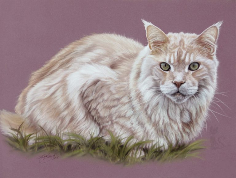Tierzeichnung in Pastellkreide Katzenportrait Auftragsarbeit
