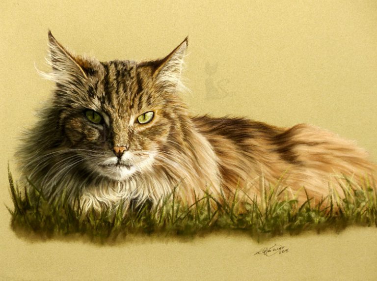Katze in Pastellkreide gemalt von Katja Sauer