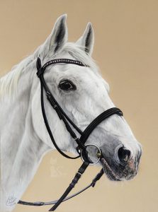 Pferdezeichnung IKARUS in Pastell (30 cm x 40 cm)