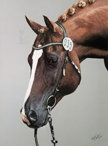 Anglo Araber Vollbluthengst KHANAT-BELLANO DE OXALIS in Pastell gezeichnet (30 cm x 40 cm)