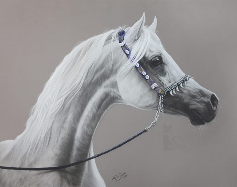 Araberhengst SALAA EL DINE in Pastell gezeichnet (40 cm x 50 cm) / Danke Rik van Lent