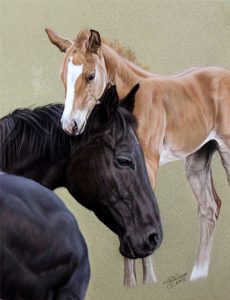 Quarter Horses TENISEE GLO und FRECKLES MYSTERY GLO in Pastell gezeichnet (24 cm x 32 cm)