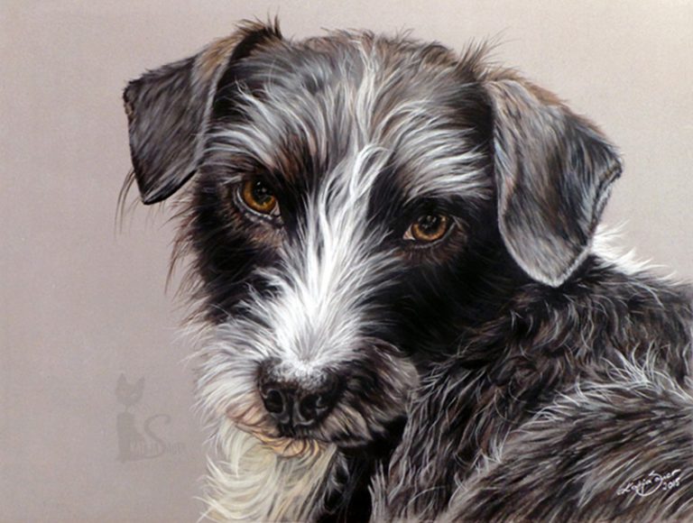 Pastellportrait Hundezeichnung von Katja Sauer