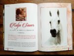 Tierportraits von Katja Sauer im Desert Heritage Magazine