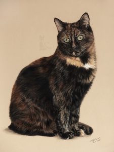 Tierzeichnung in Pastellkreide Katzenportrait Auftragsarbeit