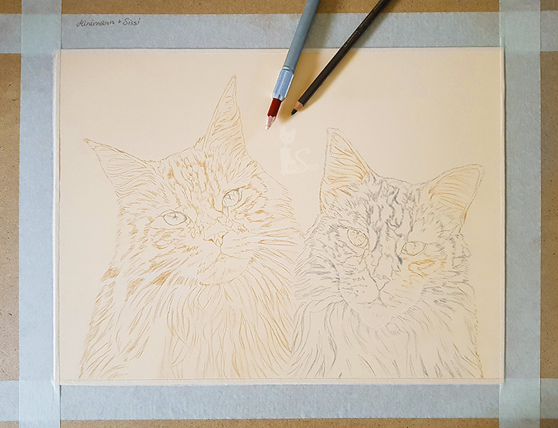 Pastellportrait Katzenzeichnung von Katja Sauer