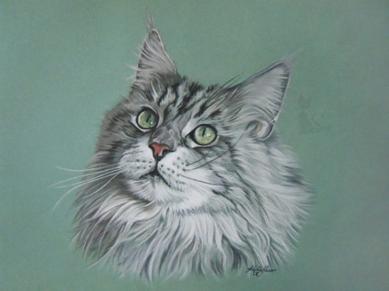 Katze in Pastellkreide gemalt von Katja Sauer