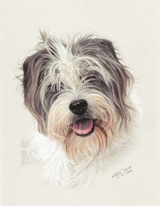 Hundezeichnung in Pastellkreide gemalt nach Fotovorlage