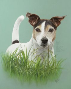 Hundezeichnung in Pastellkreide gemalt nach Fotovorlage