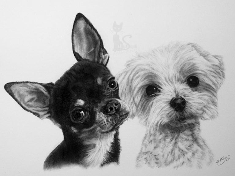 Hunde Collage DOBBI und IDEFIX - Collage in Kohle und Graphit gezeichnet (30 cm x 40 cm)