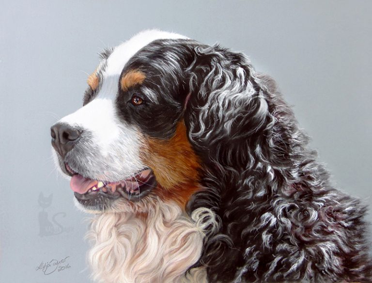 Tierzeichnung in Pastellkreide Hundeportrait Auftragsarbeit
