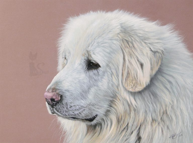 Tierzeichnung in Pastellkreide Hundeportrait Auftragsarbeit